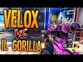 Velox vs il gorillami accusa di usare le hacks 