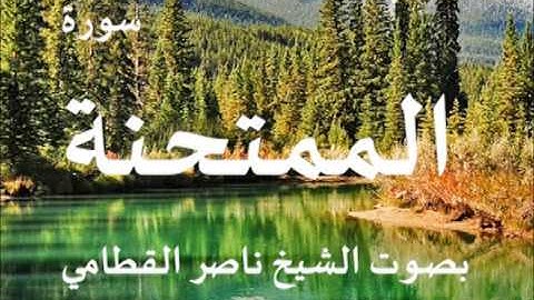 سورة الممتحنة بصوت الشيخ / ناصر القطامي 60