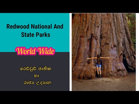 Redwood National And State Parks-රෙඩ්වුඩ් ජාතික හා රාජ්‍ය උද්‍යාන