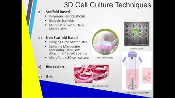 Cell culture technology 3D and scaffold based