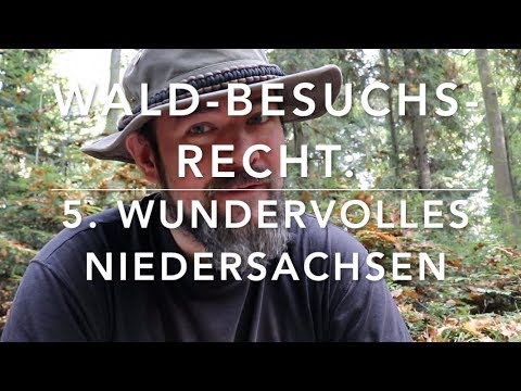 Sonnenschein  TV: Die schönsten Schützenfeste Niedersachsens | Switch Reloaded Classics