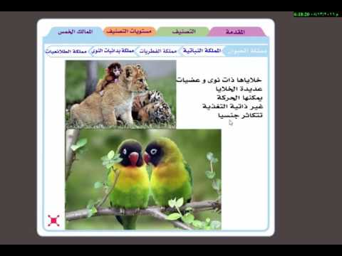 الممالك الخمس