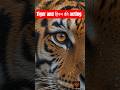 Save Tree and Animals #trending #viral #shorts #animals #ai