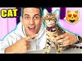 BUYING A $10,000 BENGAL TIGER KITTEN! CUTE CATS vs EXOTIC PETS! 🐈 (MOOSECRAFT'S NEW CAT)