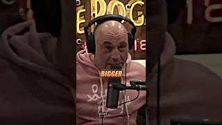 Joe Rogan Reacts To Super LION Island 😳 ft. Lion