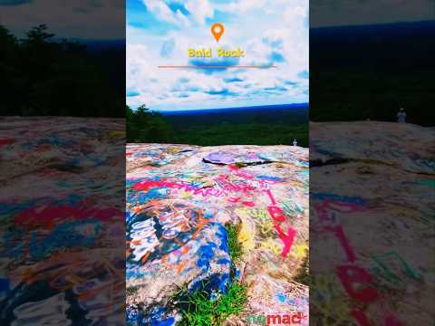 South Carolina best places #shorts #travelvideo #carolina  #southcarolina #travel #explore #nature