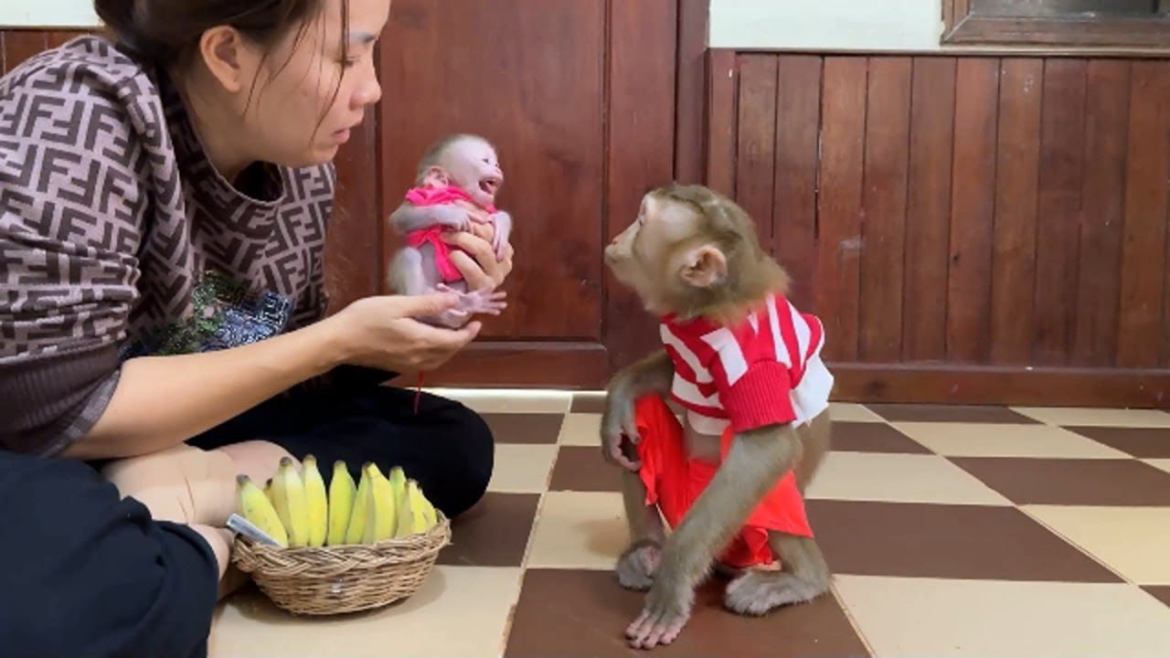 Max On Mom's Hand C_RY Anqry Jenny Carelessly Him