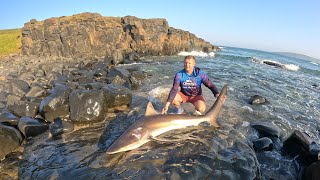 Caught a Bronzie at Salt Rock, Mazeppa🦈🎣😍