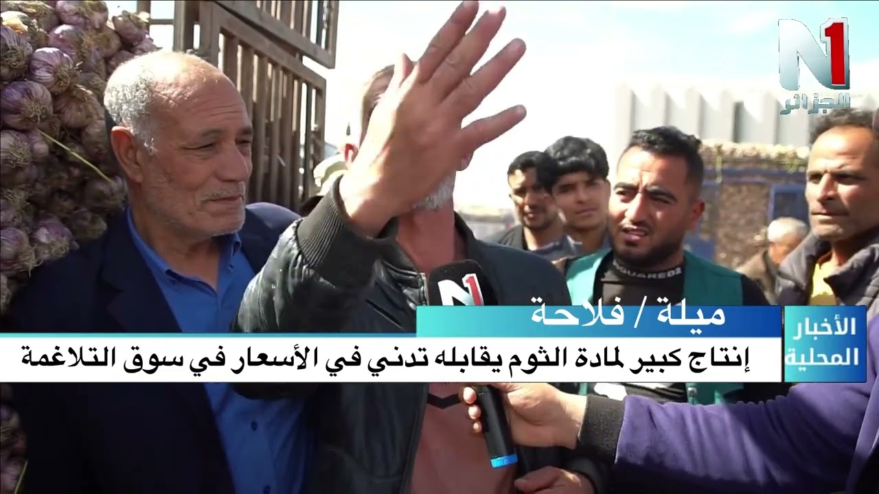 إنتاج كبير لمادة الثوم في بلدية التلاغمة يقابله تدني في الاسعار