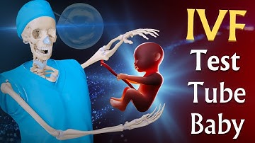 Exploring the Full IVF Process Through 3D Animation | Understanding In Vitro Fertilization