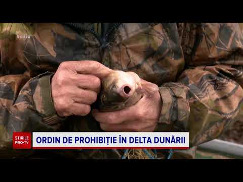 Video: Este pescuitul sub apă durabil sau nesustenabil?