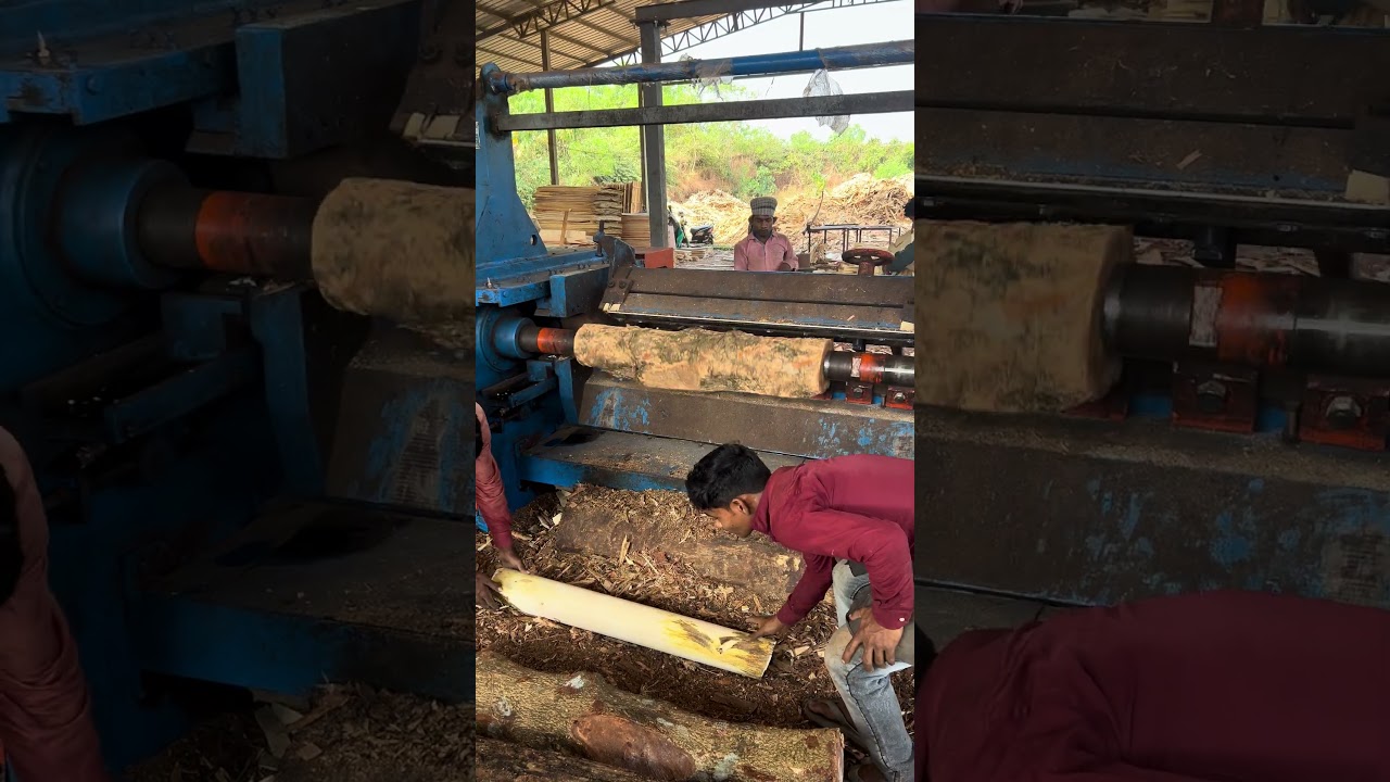Wood debarking working big machine part 95