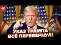 ⚡Путин НЕ ПРОСТИТ ЭТОГО Трампу! СРОЧНЫЙ приказ США. Вы НЕ ПОВЕРИТЕ, что затевает Дональд @ВОТЧТО ​