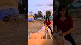 Красивый и сильный конь в действии | #лошадь #конь #животные #природа #shorts #viral
