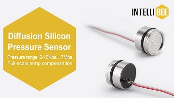 ACE13 Diffusion Silicon Pressure Sensor, Diffusion Silicon Pressure Transducer - IntelliBee Sensor