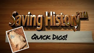 3000 Year Old Artifact Saving History Quick Digs
