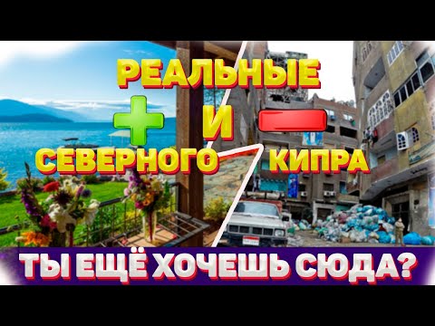 Бейне: Минсктегі табиғат және экология мұражайы. Сипаттама, орналасқан жері, жұмыс кестесі