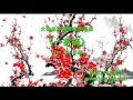 L004《一剪梅》太極拳伴奏音樂加長版 | 純音樂 | 禪修音樂 | 佛教音樂 | 減壓睡眠放鬆輕音樂 | Tai Chi - Relaxing Chinese Romantic Music