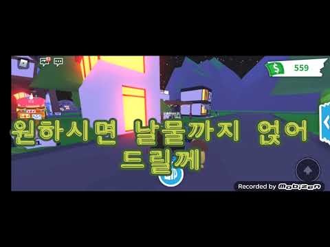 사자와 숨겨진 이벤트? 코드를 적고 사자를 받아보자! 그리고 숨겨진 이벤트의 펫을 얻을려면 로블 닉넴을 적고~ 같고싶은 이유를 말해보자~