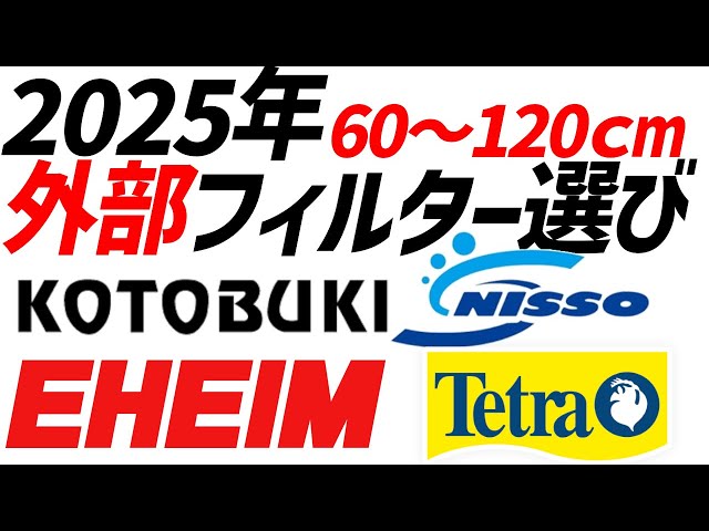 Choosing an external filter for 2025: Comparing Eheim, Kotobuki