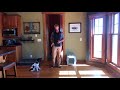 Clicker Training Your New Puppy - Part 3 - Upland Bird Dog Training