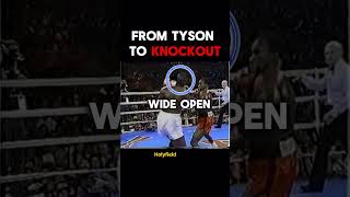 Evander Holyfield Brutal Knockout Buster