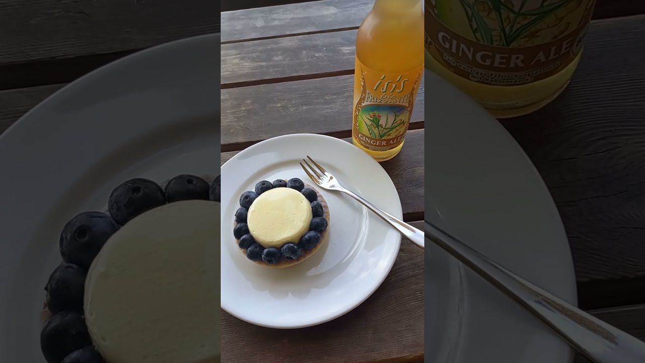 HeidelbeerBio🫐🥧Dessert PannaCotta&amp;DinkelTörtchen🥰dazu GingerAle🍹 ...