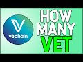 Buy VECHAIN At These Prices Before It's Too Late?