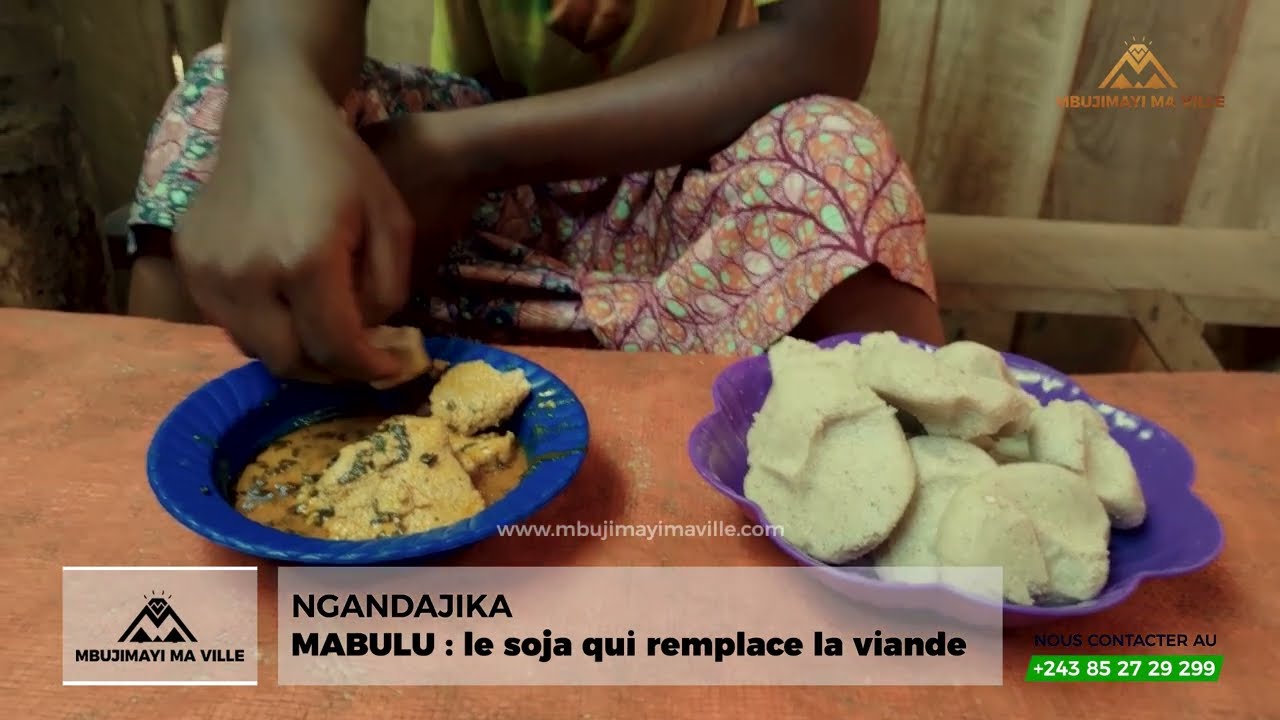 NGANDAJIKA  MABULU   le soja qui remplace la viande