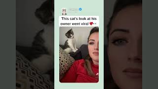 This cat’s look at his owner went viral 💖👀