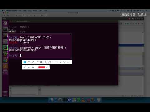 Python从入门到精通  167 067 变量的输入输出 02 input函数的基本使用