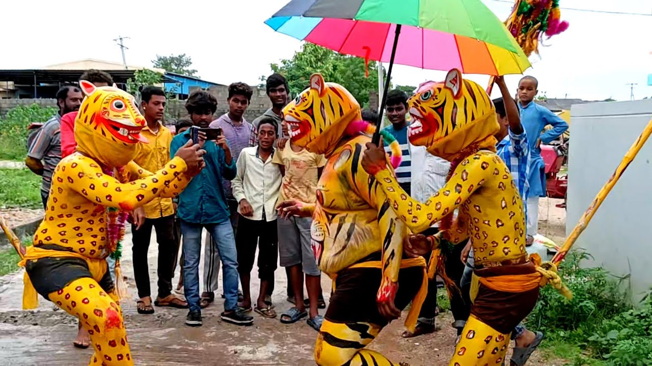 Seema Dasara Chinnodu Tigers Dance  KORUTLA Village Tigers  peddapulidance  peddapuli