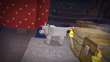 Not Herobrine. | Minecraft TU9 Tutorial Music Disc Hunt [2]