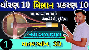 Human Eye in Gujarati | માનવ આંખ અને રંગબેરંગી દુનિયા | STD 10 SCIENCE CH 10 |  ભાગ 1