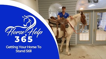 Getting Your Horse To Stand Still | Horse Help - Michael Gascon