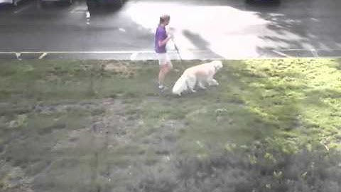 From Internet Camera Camera (28:10:7B:12:A5:44), 2014/07/28 07:24:21D