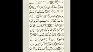 سورة نوح برواية الإمام حفص عن عاصم Surah Nuh