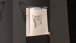 Drawing a Cat 🐈 using a thread 🧵 Wealth