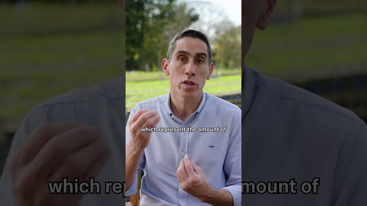 Restoring Brazil’s rainforest with AI