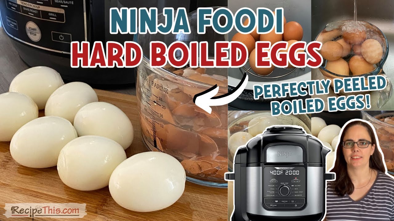 Ninja Foodi 5-in-1 Indoor Grill and Air Fryer Review - NeedThat