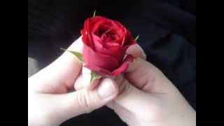 Video-Miniaturansicht von „BB King and Van Morison - If you Love Me“