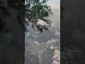 Нижний Урунгач