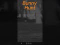 thermal Bunny