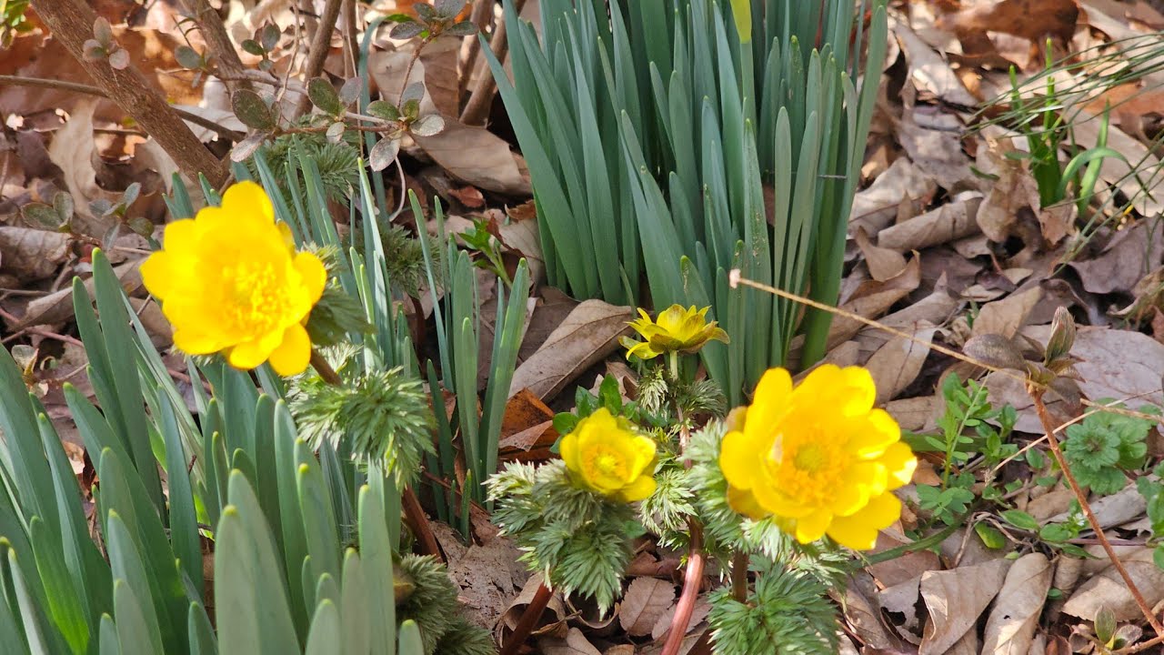 내변산 가는 길목에서