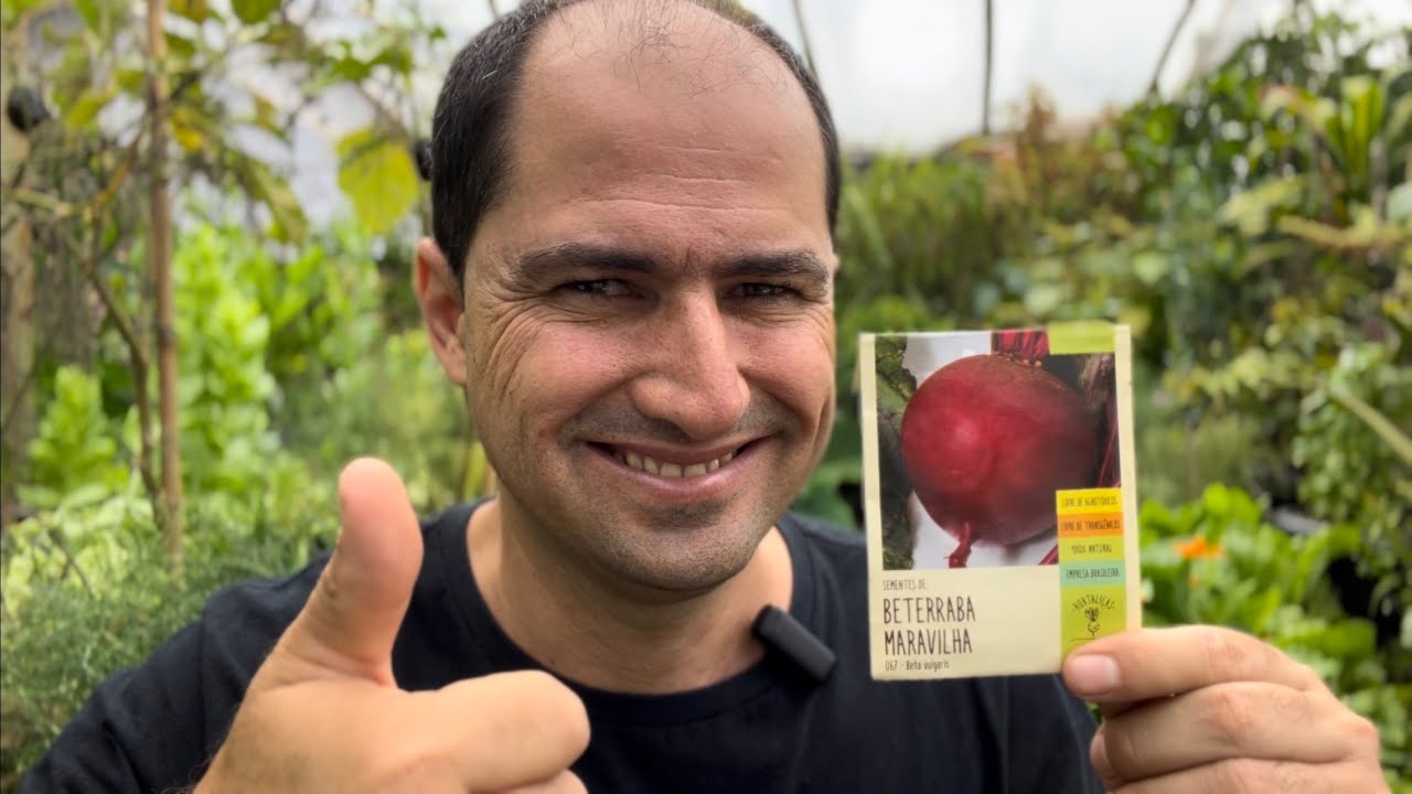 COMO PLANTAR BETERRABA MARAVILHOSA