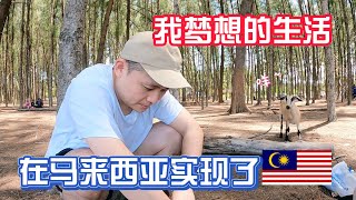 海滩树林 | 自由自在，我梦想的生活，终于在马来西亚实现了！