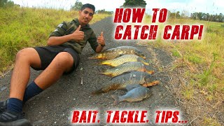 Everything You Need to Know on How to Catch Lots of Carp!