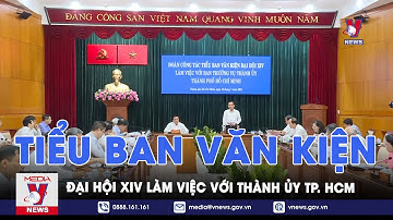 Tiểu ban Văn kiện Đại hội XIV làm việc với Thành ủy TP.HCM - VNews