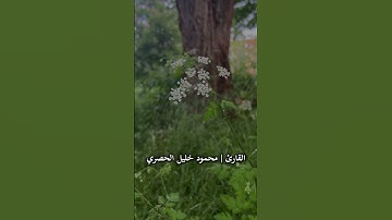 [ سورة يوسف - الآية ١٠١ ] للقارئ محمود خليل الحصري