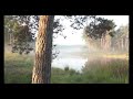 Intensify - Nick McGauley